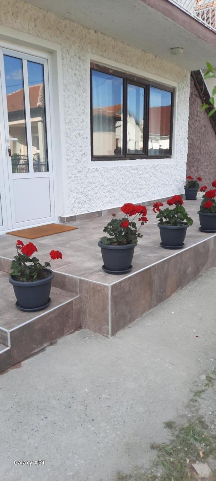 Privatni Smestaj Nanica Mataruska Banja Exterior foto